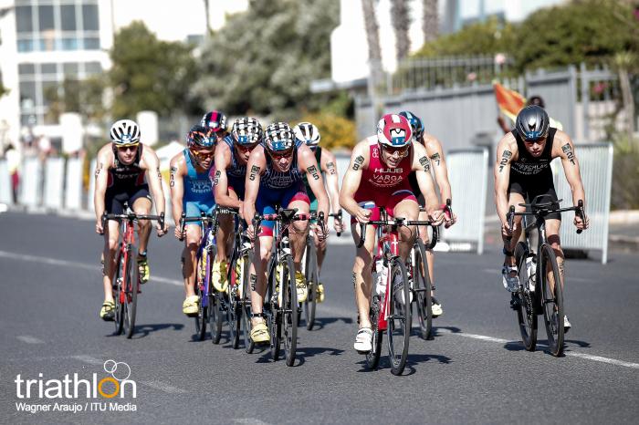 2019.wccapetown170123 wag7381 medium