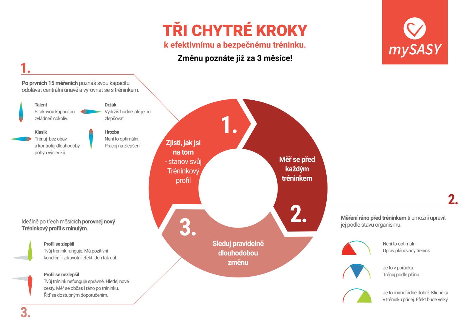 mySASY tri chytre kroky