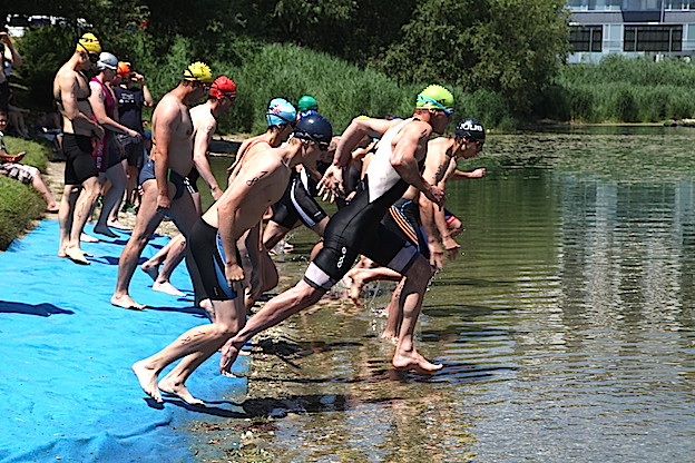 2014_akva_BA_strkovec_427