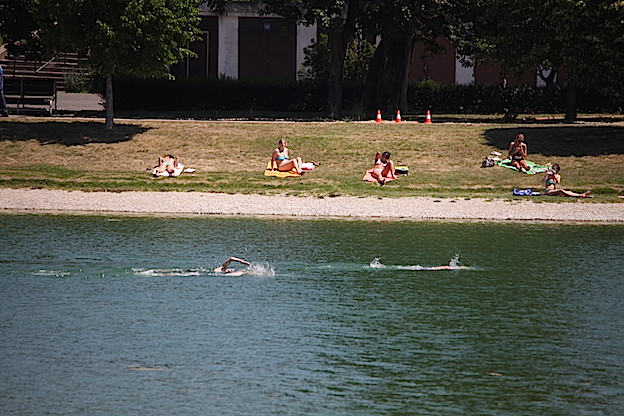 2014_akva_BA_strkovec_445