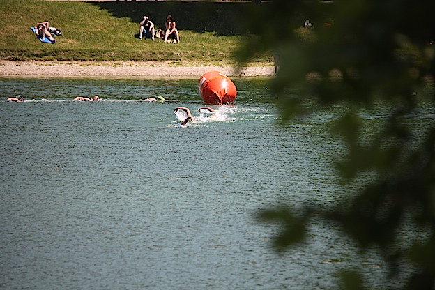 2014_akva_BA_strkovec_469