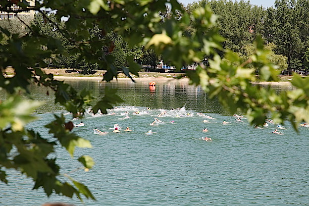 2014_akva_BA_strkovec_697