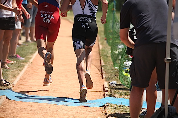 2014_akva_BA_strkovec_908