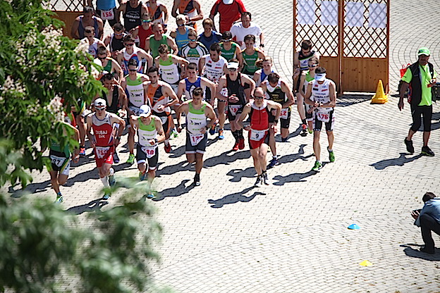 2015_dua_kravany_1594_-_kopia