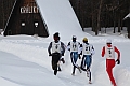kraliky12_120_1