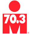 logo_ironm703_100
