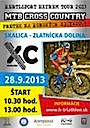 plagat_skalica13