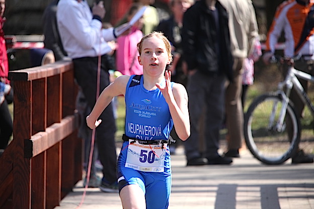 t22_kneupauerova2015_slpoakvaturepl