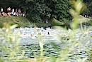 titul130_2013_BanskaStiavnica_kros_1656
